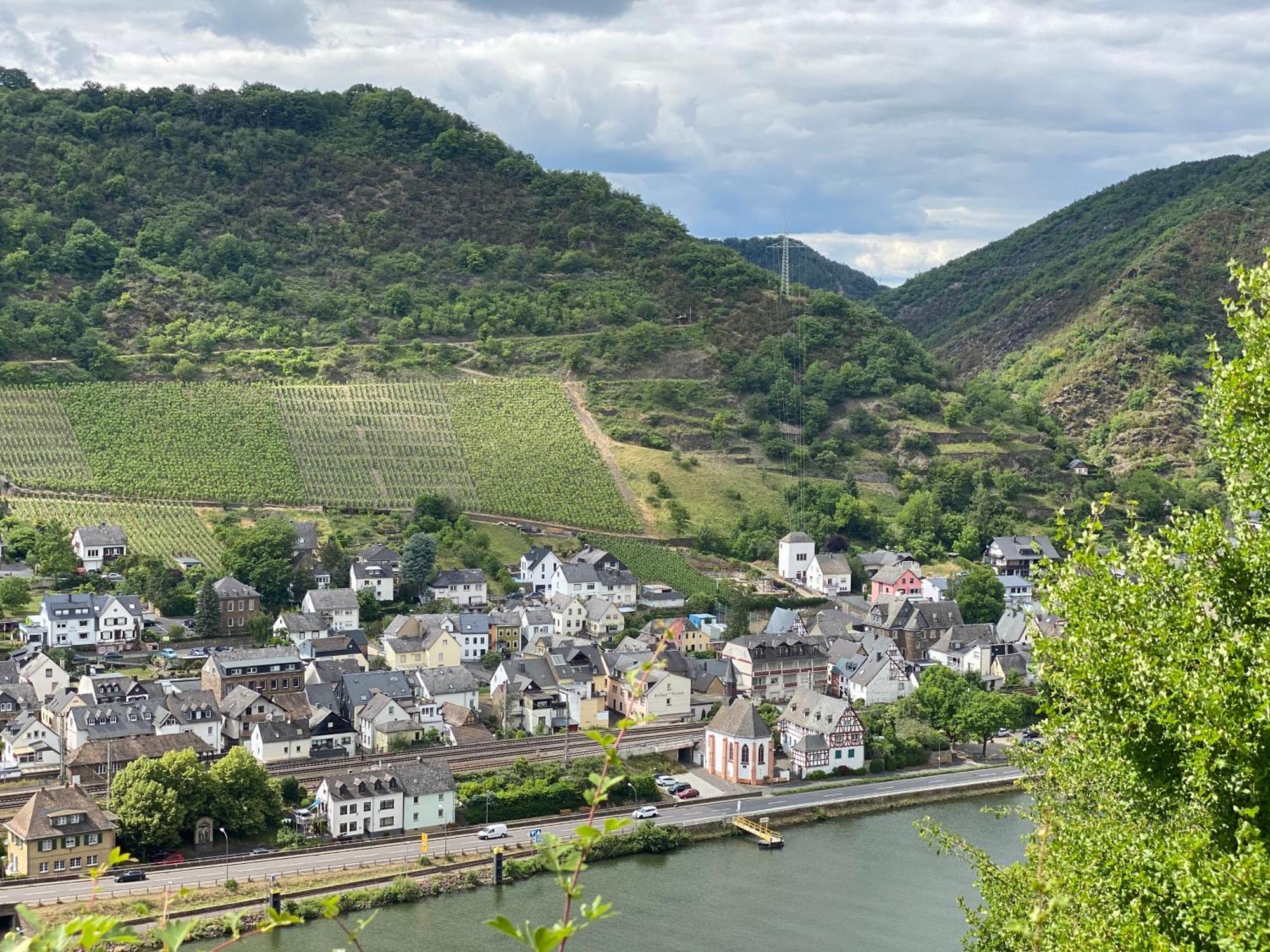Mike'S Mosel Lodge Treis-Karden Buitenkant foto